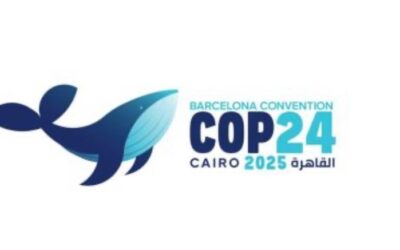 Tomorrow is the day of COP24!