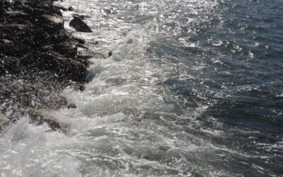 The “Flottant” project for the development of renewable energy in the Mediterranean