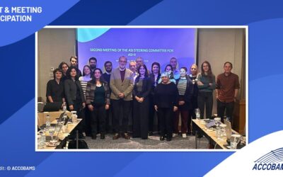 ASI II: Strategic Coordination in Athens