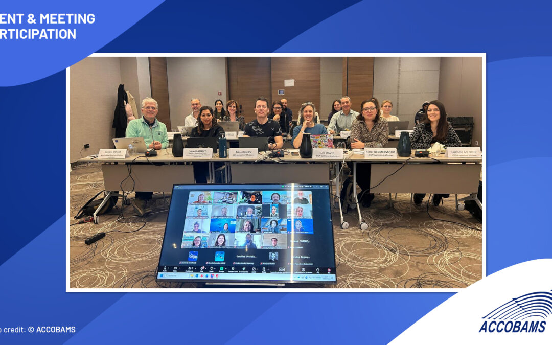 INFO/RAC at the ACCOBAMS Scientific Committee