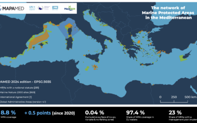 Mediterranean: Still Far from Marine Conservation Targets