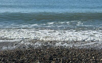 There is an oasis in the Eastern Mediterranean…