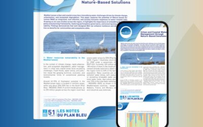 Urban and coastal water management