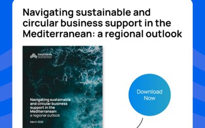 New Publication by MedWaves