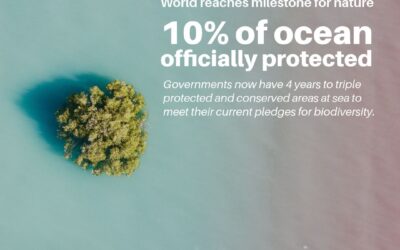 The world reaches a historic milestone: over 10% of the ocean now protected
