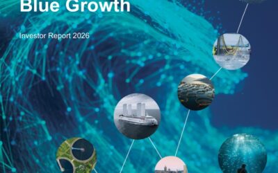 Blue economy, an increasingly attractive sector for investors