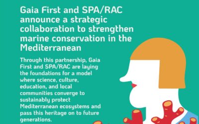 Gaia First and SPA/RAC together for marine conservation in the Mediterranean