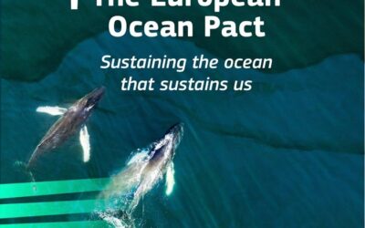 European Ocean Board Launched