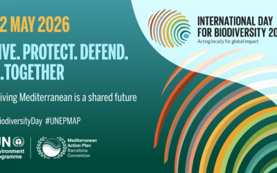 Happy Biodiversity Day 2026!