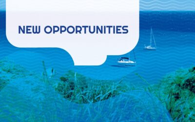 UNEP consultancy opportunity on marine renewable energy in the Mediterranean