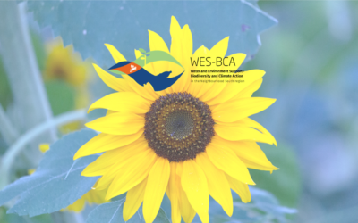 WES-BCA: approval of the 2026–2027 Work Plan of the EU project on environment and climate