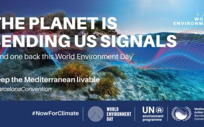 World Environment Day 2026: Climate at the Center of the Global Agenda