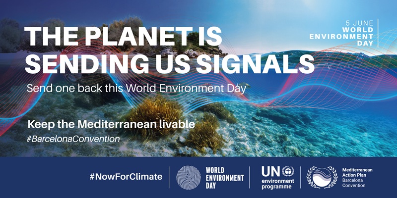 World Environment Day 2026: Climate at the Center of the Global Agenda