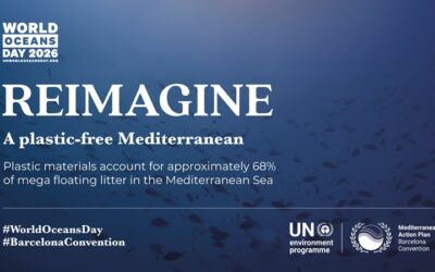 World Ocean Day 2026