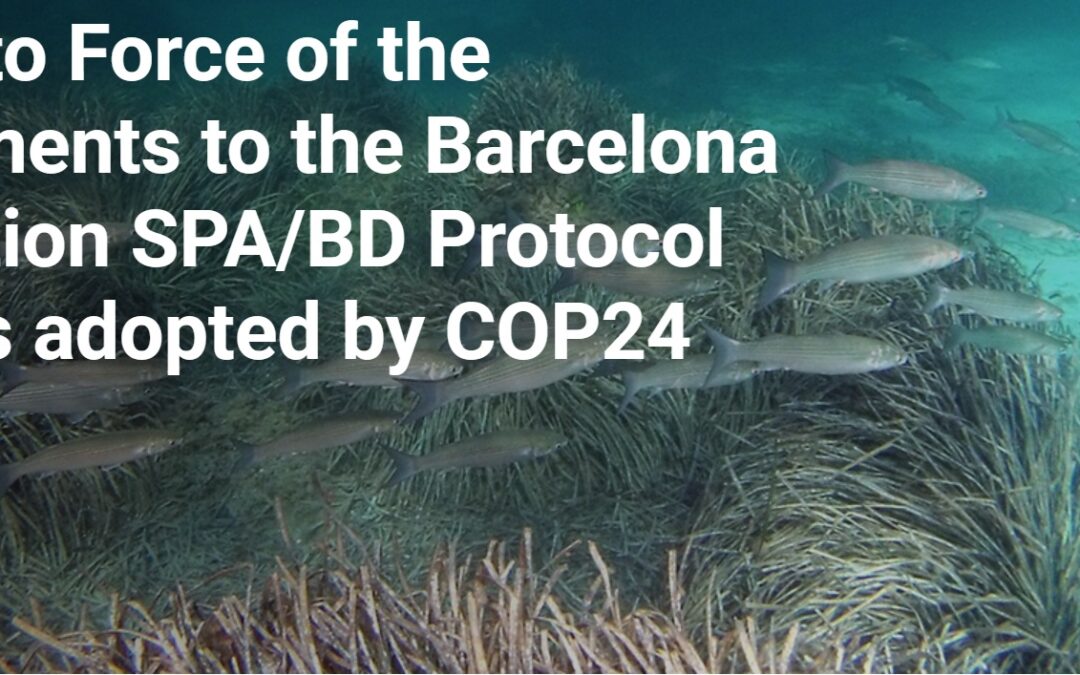 Entry into Force of the Amendments to the Barcelona Convention SPA/BD Protocol Annexes adopted by COP24