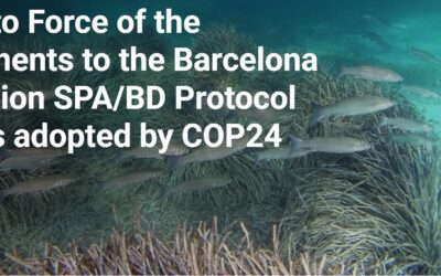 Entry into Force of the Amendments to the Barcelona Convention SPA/BD Protocol Annexes adopted by COP24