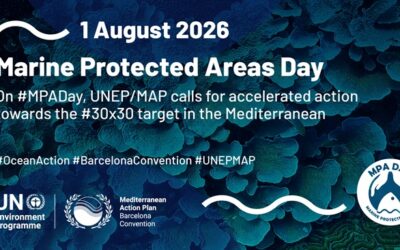 MPA Day – 1 August 2026