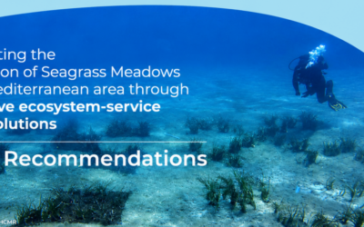 New ARTEMIS Policy Recommendations