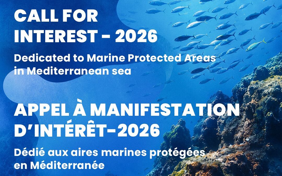 The MedFund’s 2026 call for expressions of interest is now open