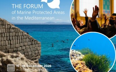 Survey launched in preparation for the 4th Mediterranean MPA Forum.