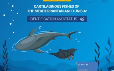 SPA/RAC: new publication on Cartilaginous Fishes of the Mediterranean and Tunisia