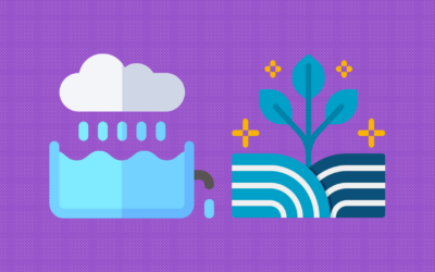 Nature-Based Solutions for Stormwater Management in Lebanon