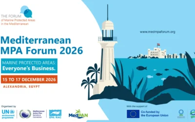 Applications Open for the 4th Mediterranean MPA Forum