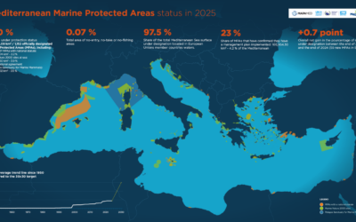 Tracking Progress Towards the Mediterranean 30×30 Commitment